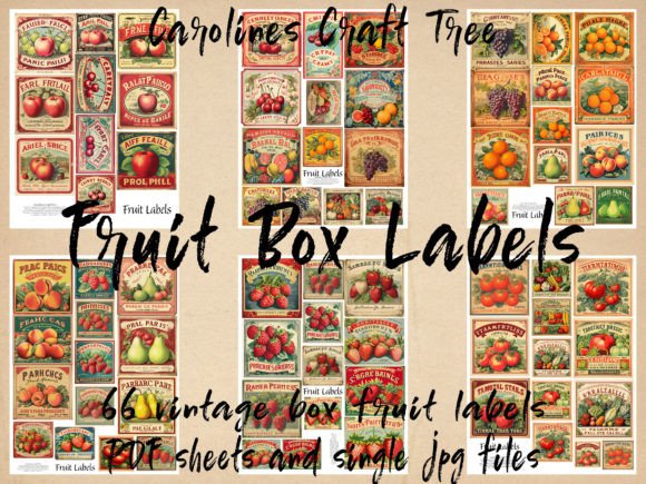 Download Fruit and Vegetable Box Labels - Vegetable Collection